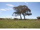 Black Springs NSW 2787