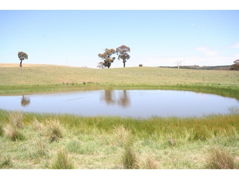 Black Springs NSW 2787