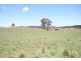 Black Springs NSW 2787