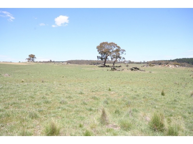Black Springs NSW 2787