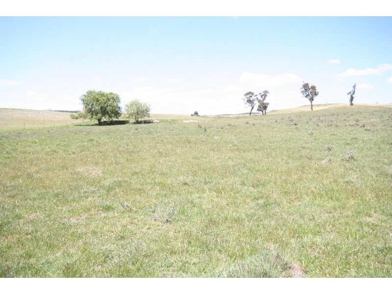 Black Springs NSW 2787