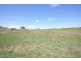 Black Springs NSW 2787