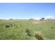 Black Springs NSW 2787