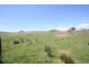 Black Springs NSW 2787