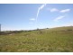 Black Springs NSW 2787