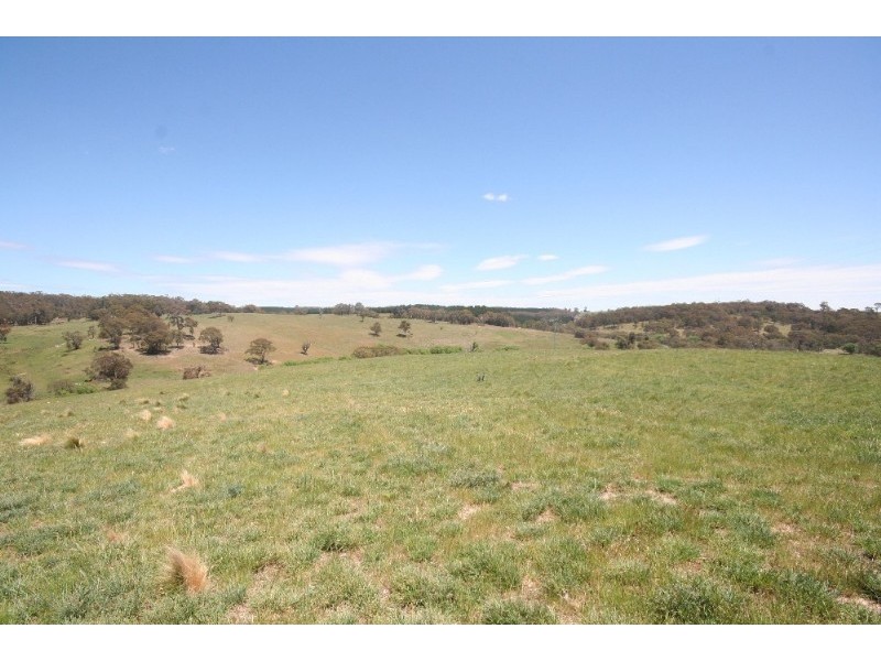 Black Springs NSW 2787