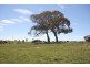 Black Springs NSW 2787