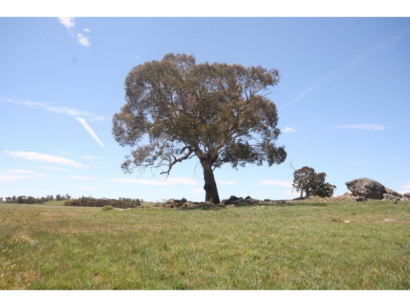 Black Springs NSW 2787