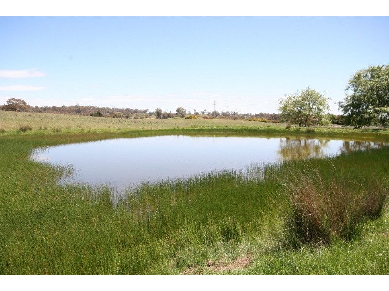Black Springs NSW 2787