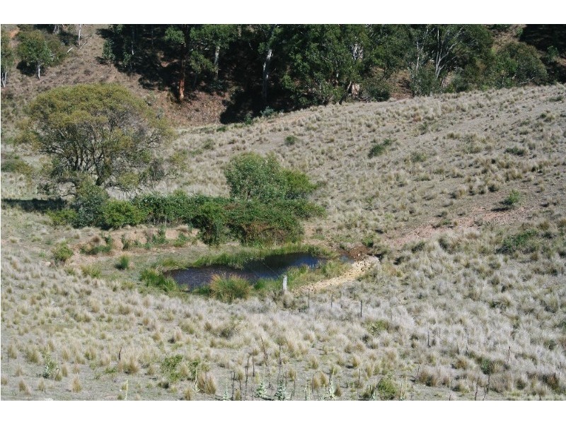 Gingkin NSW 2787