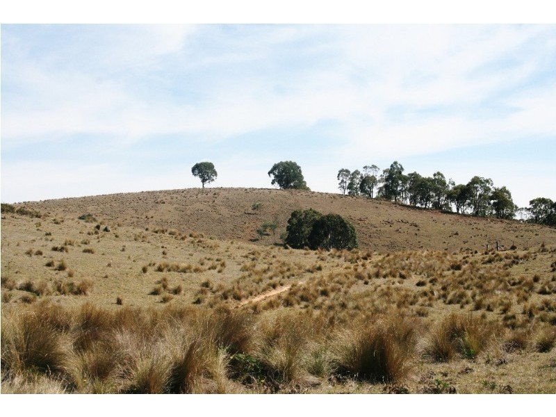 Gingkin NSW 2787