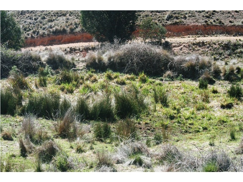 Gingkin NSW 2787