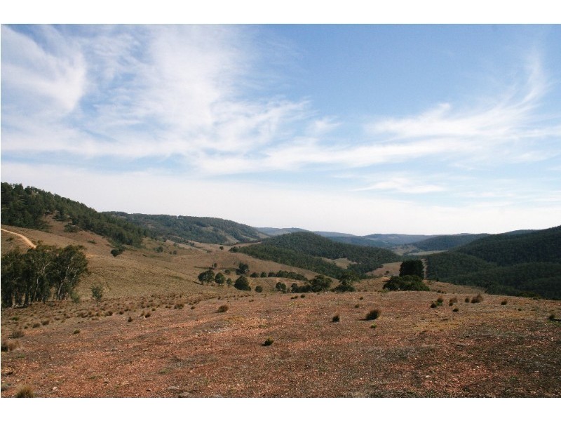Gingkin NSW 2787
