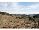 Gingkin NSW 2787