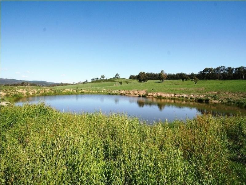 469 Nunans Hill Road, Oberon NSW 2787