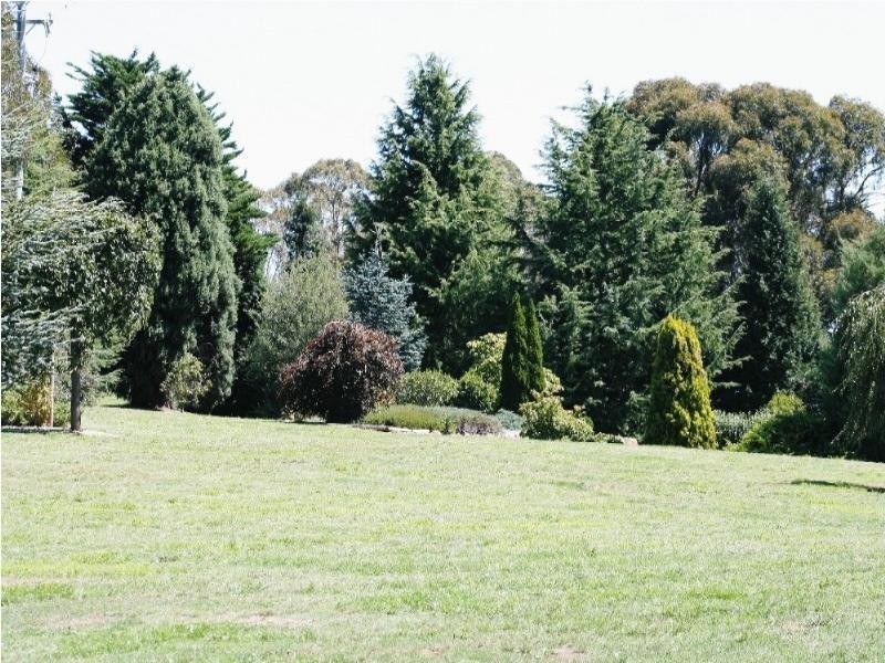 469 Nunans Hill Road, Oberon NSW 2787