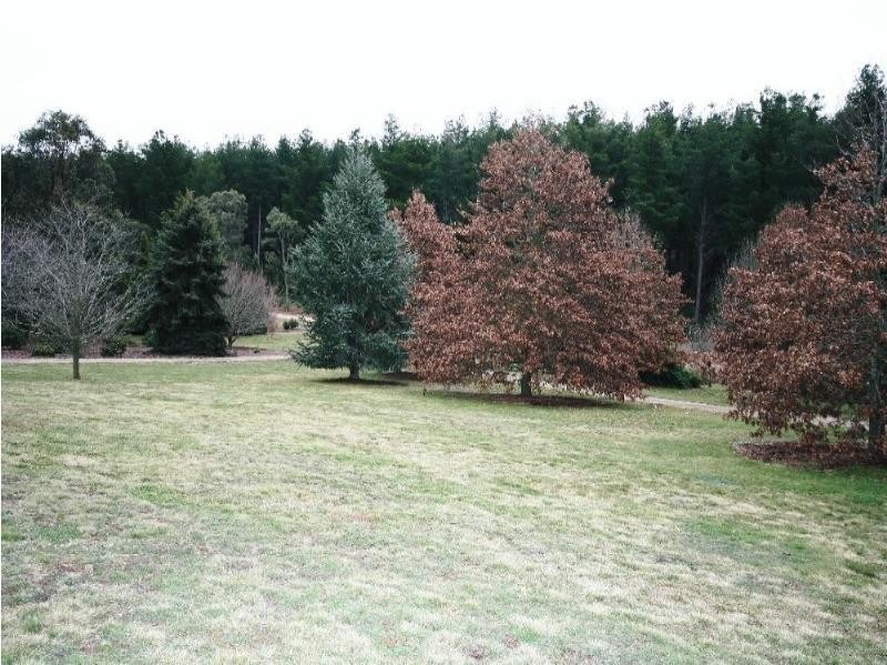 469 Nunans Hill Road, Oberon NSW 2787