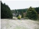469 Nunans Hill Road, Oberon NSW 2787