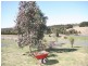 45 Albion Street, Oberon NSW 2787