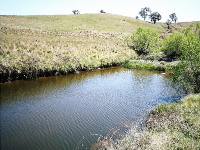 Wisemans Creek NSW 2795