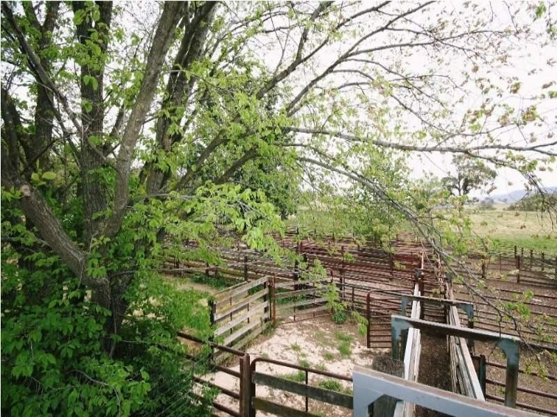 Dark Corner NSW 2795 the real estate agency Withdrawn