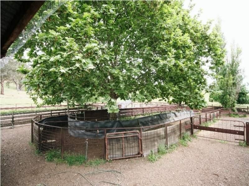 Dark Corner NSW 2795 the real estate agency Withdrawn