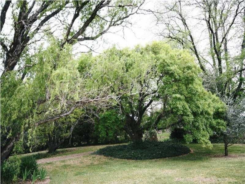 Dark Corner NSW 2795 the real estate agency Withdrawn