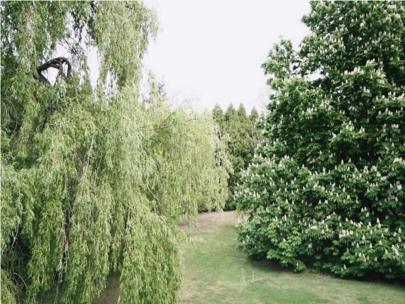 Dark Corner NSW 2795 the real estate agency Withdrawn