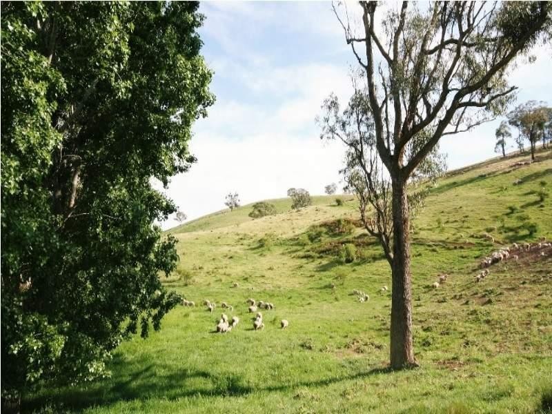 Dark Corner NSW 2795 the real estate agency Withdrawn