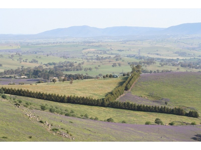 158 Purdens Lane, O’connell NSW 2795