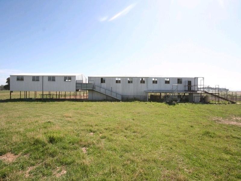 Mount David NSW 2795