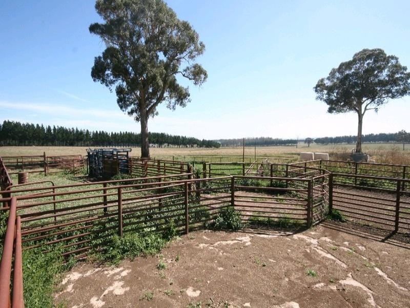 Mount David NSW 2795