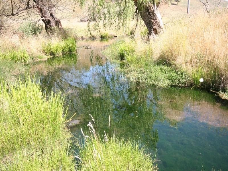 Mount David NSW 2795