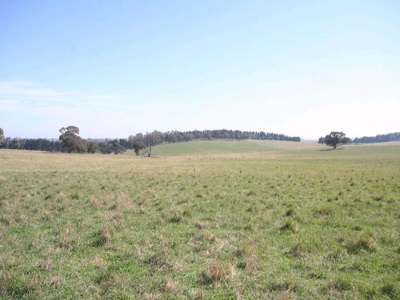 Mount David NSW 2795