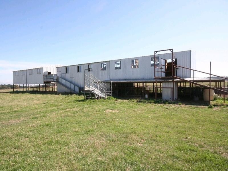 Mount David NSW 2795