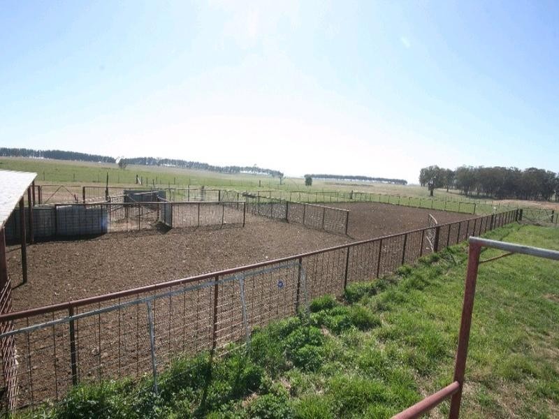 Mount David NSW 2795