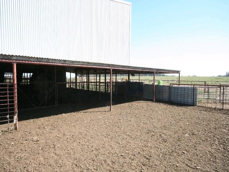 Mount David NSW 2795