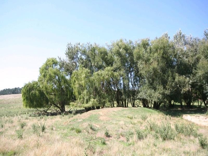 Mount David NSW 2795