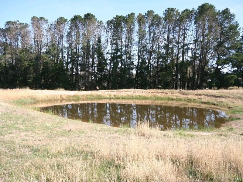 Mount David NSW 2795