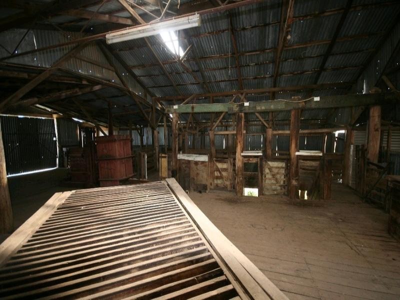 Mount David NSW 2795