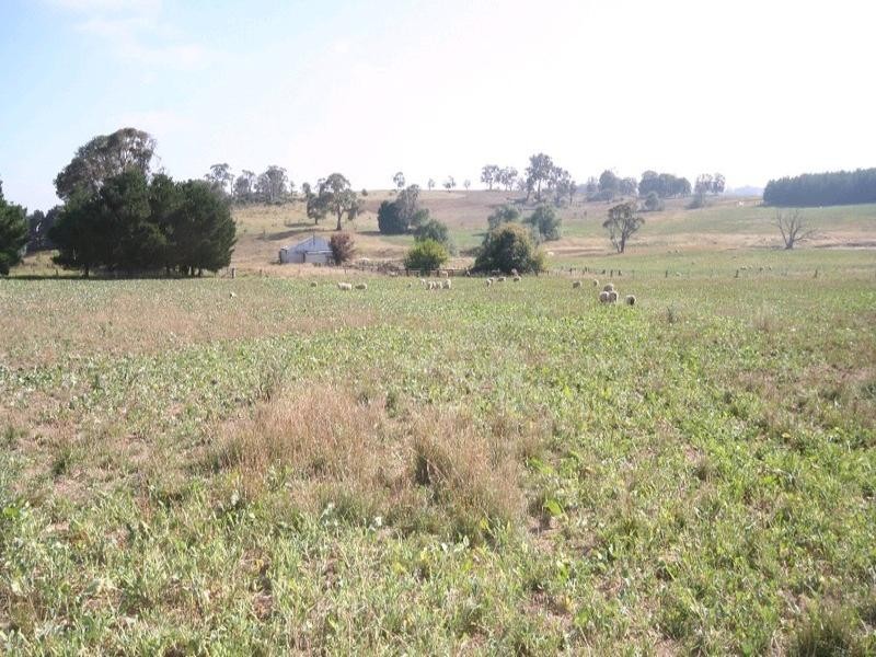 Mount David NSW 2795