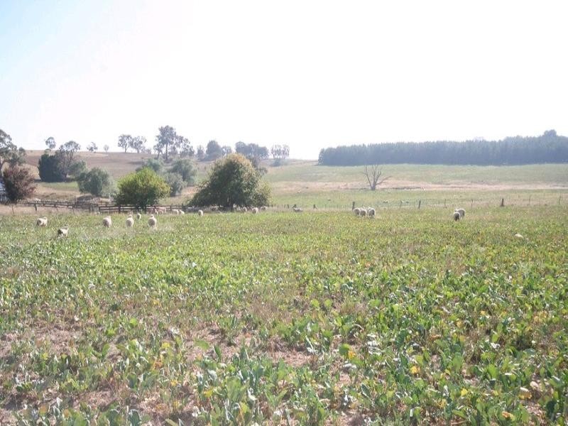 Mount David NSW 2795