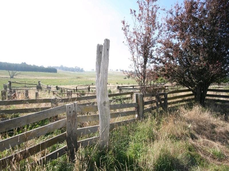 Mount David NSW 2795