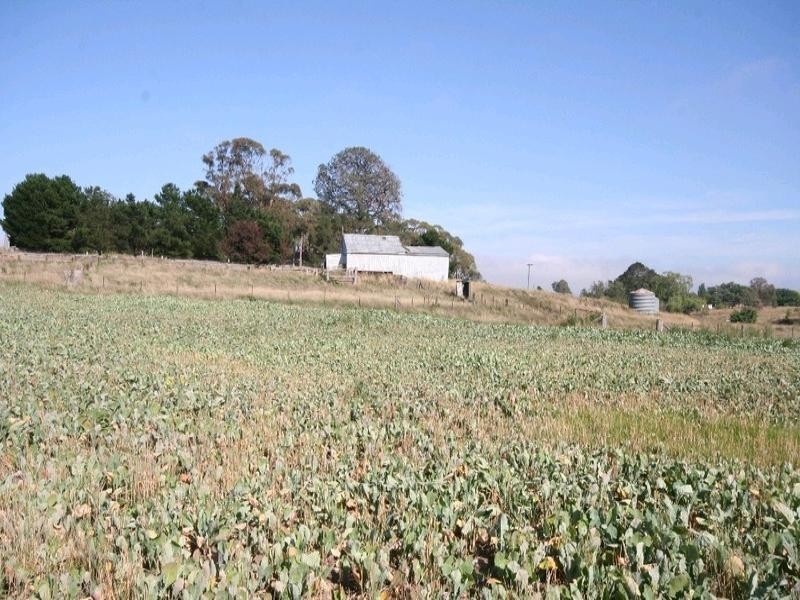 Mount David NSW 2795