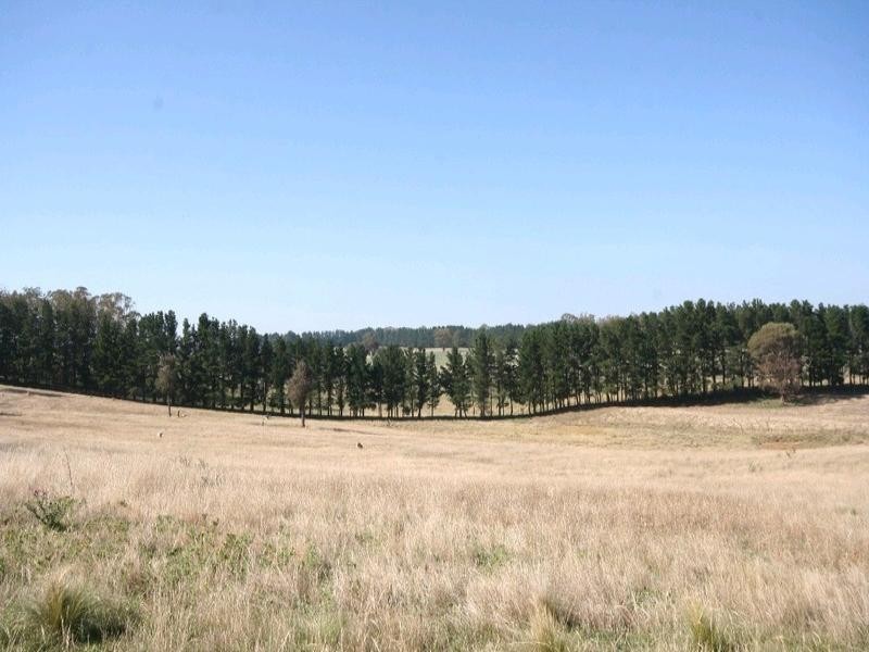 Mount David NSW 2795