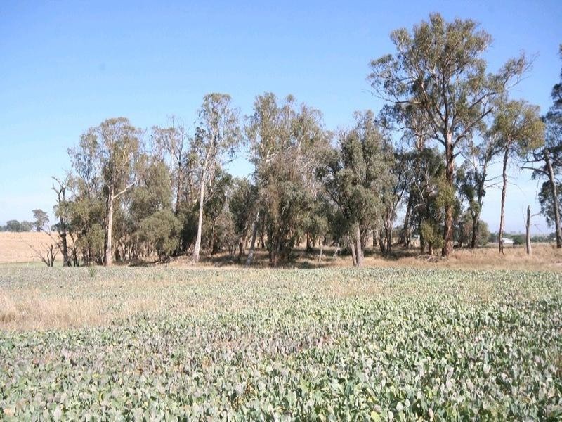 Mount David NSW 2795