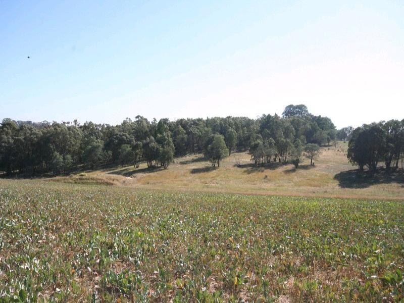 Mount David NSW 2795