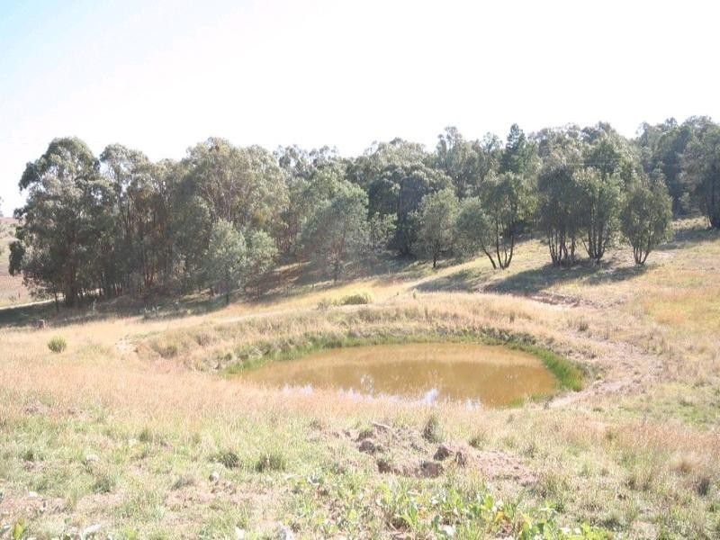 Mount David NSW 2795