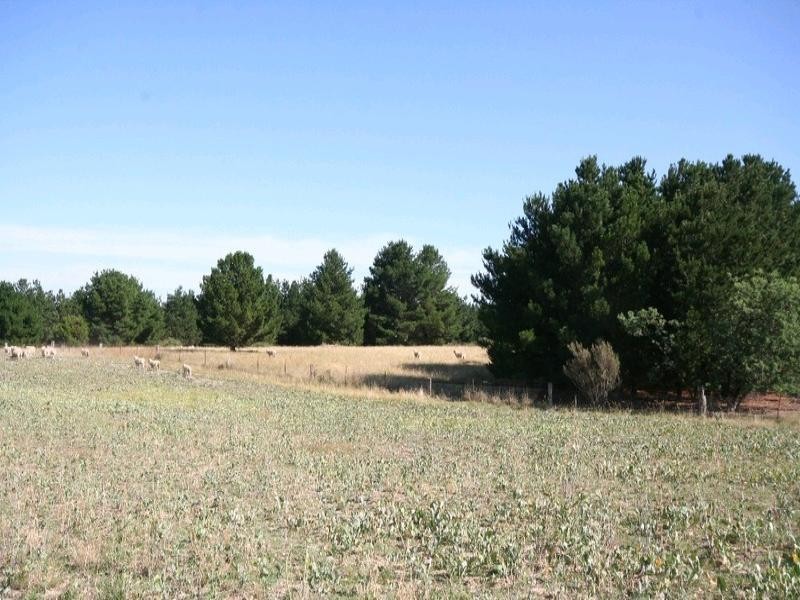 Mount David NSW 2795