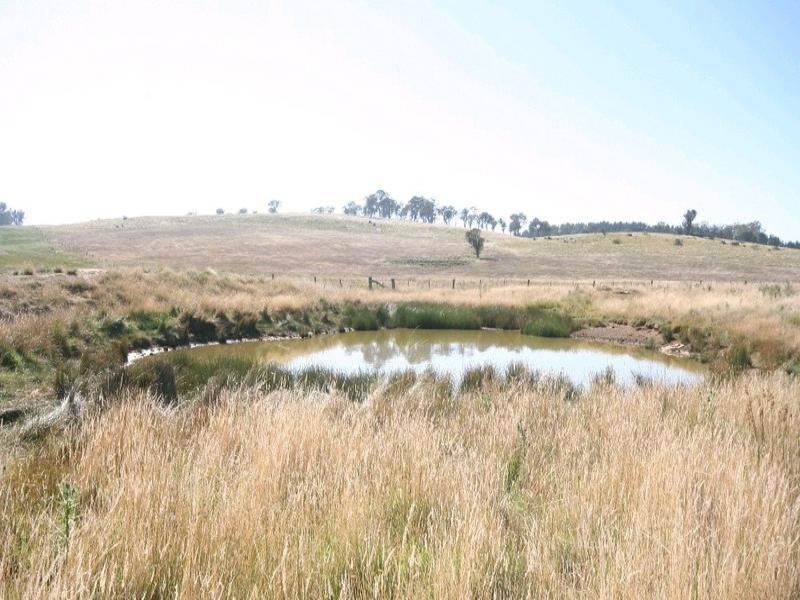 Mount David NSW 2795